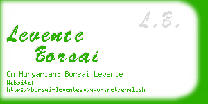 levente borsai business card